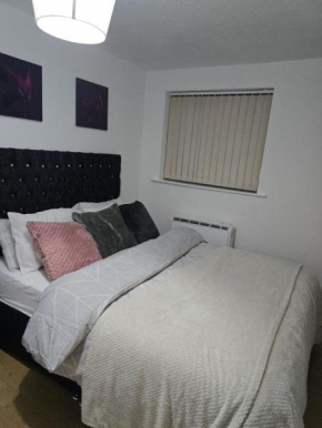 Emerald Apartment with Triple A star Proximity